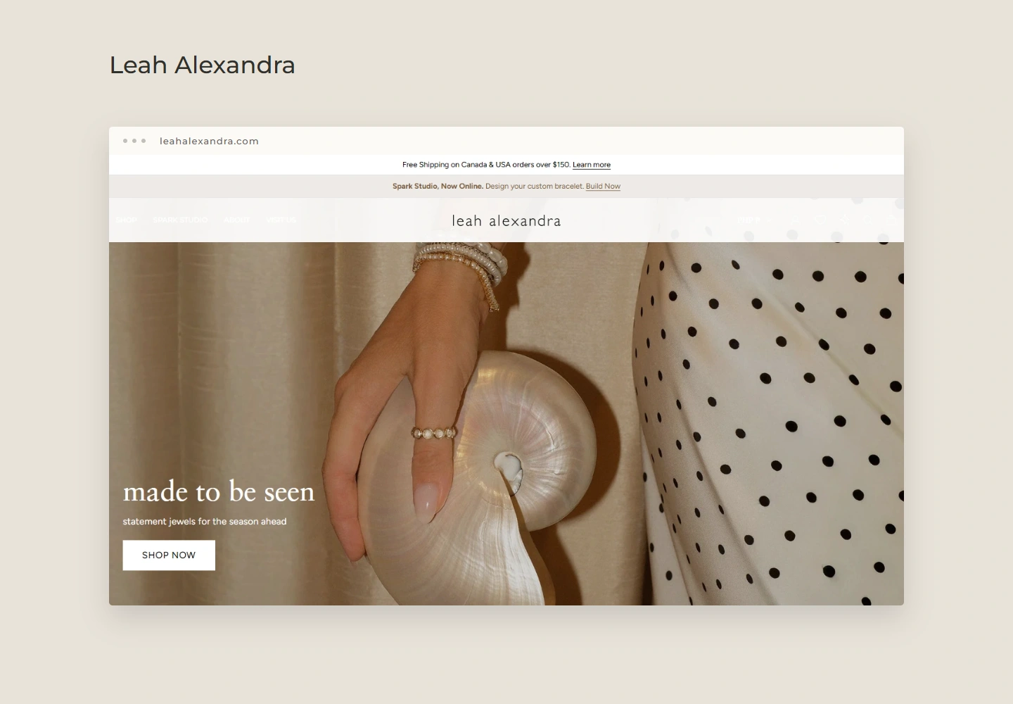 Leah Alexandra website design preview